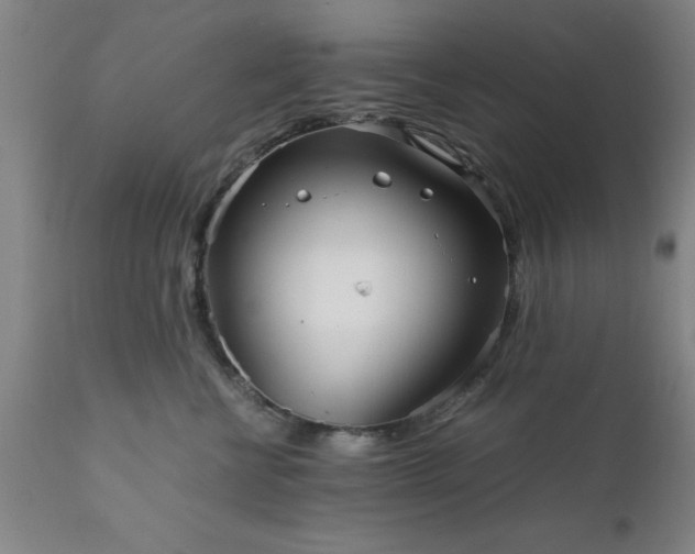 X0000111810570200907301236