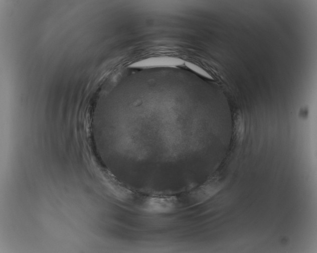 X0000111810571200907301236