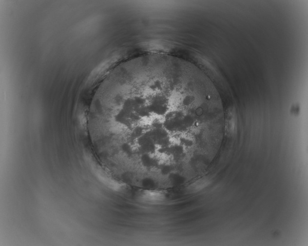 X0000111810573200907301236