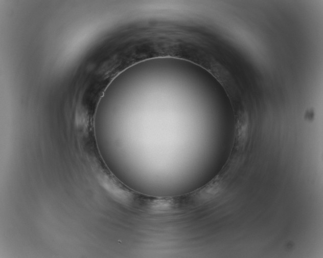 X0000111810574200907301236