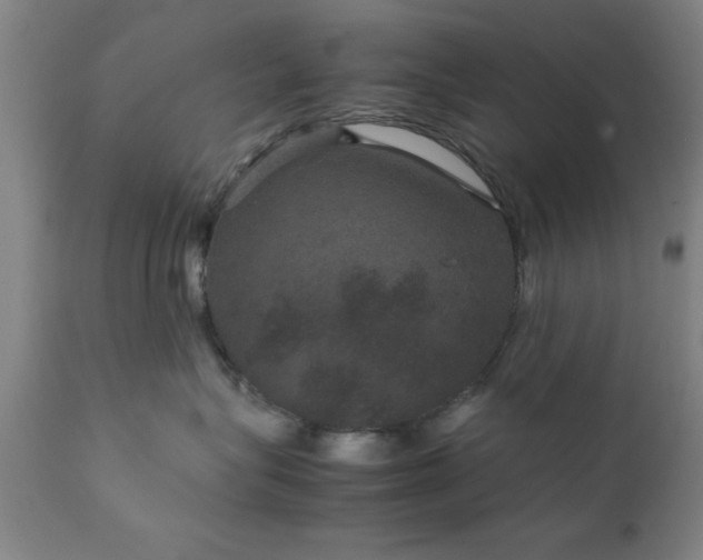 X0000111810575200907301236