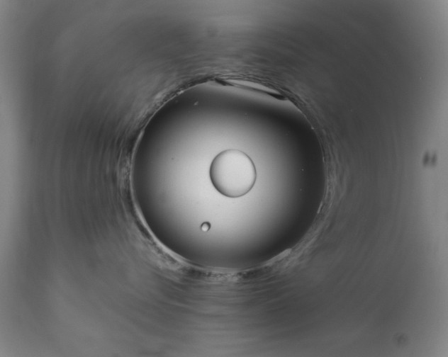 X0000111810576200907301236