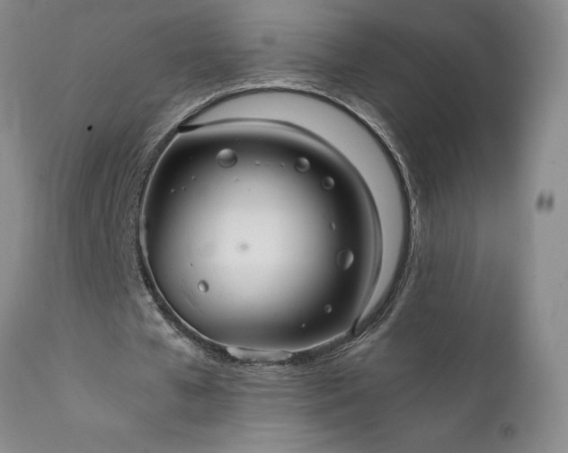 X0000111810577200907301235
