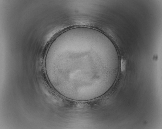 X0000111810579200907301235