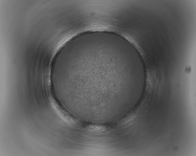 X0000111810582200907301235