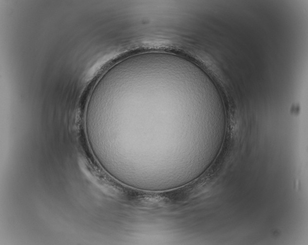 X0000111810583200907301235