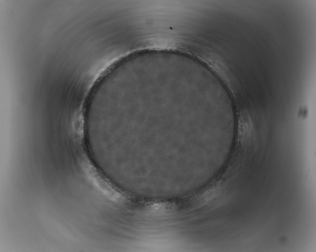 X0000111810584200907301235