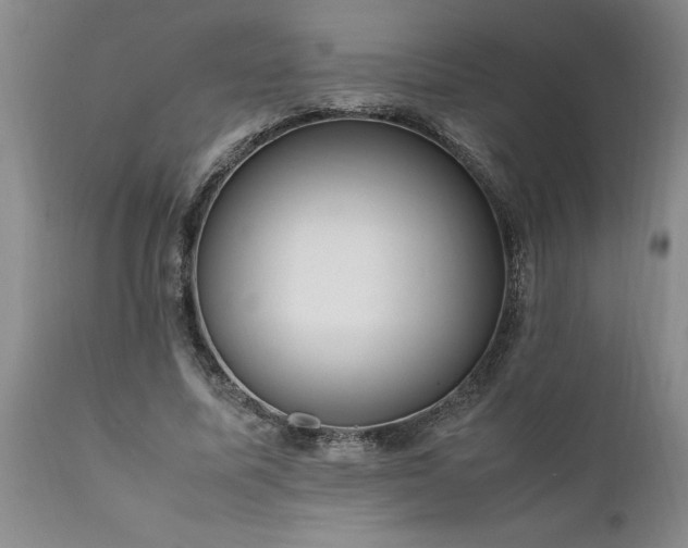 X0000111810587200907301235