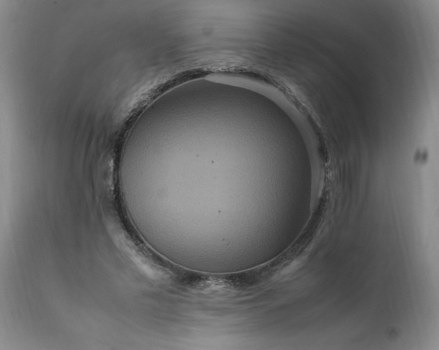 X0000111810589200907301235