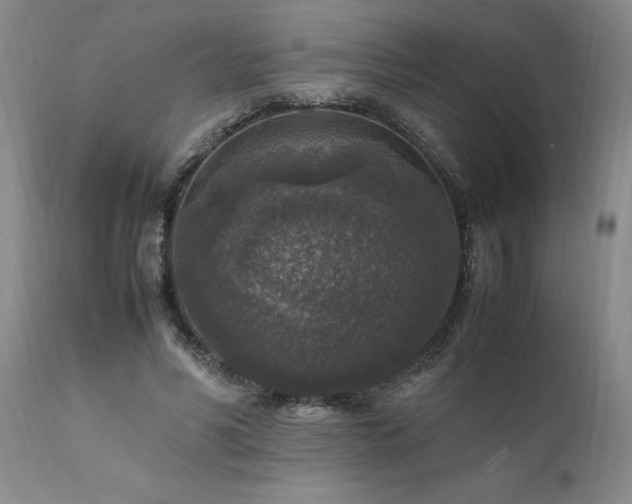 X0000111810590200907301235