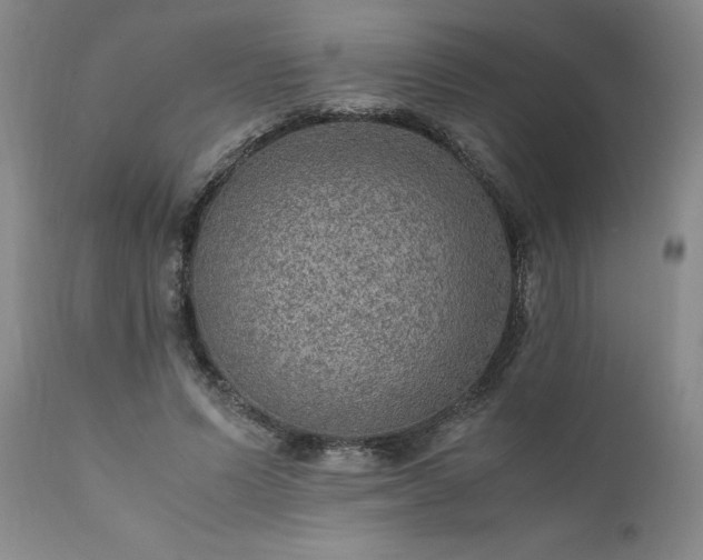 X0000111810591200907301235