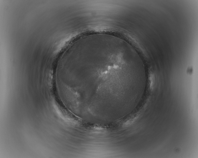 X0000111810592200907301235