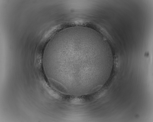 X0000111810593200907301235