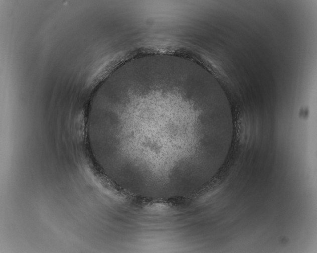 X0000111810594200907301234
