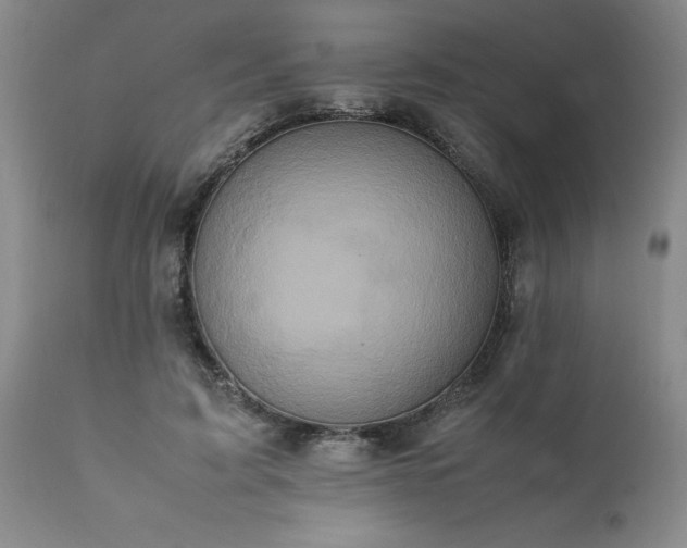 X0000111810595200907301234
