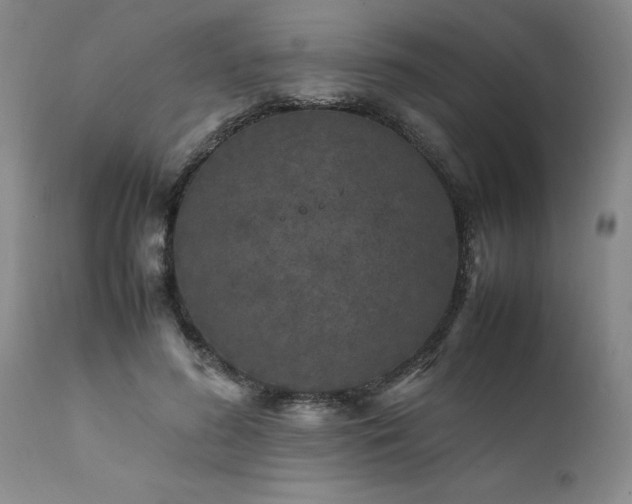 X0000111810596200907301234