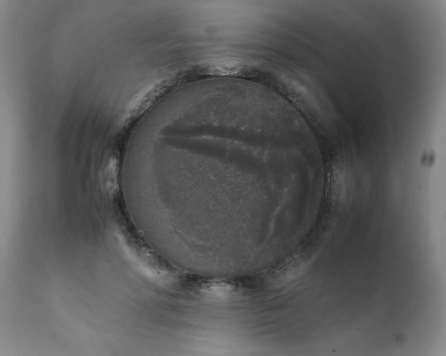 X0000111810598200907301234