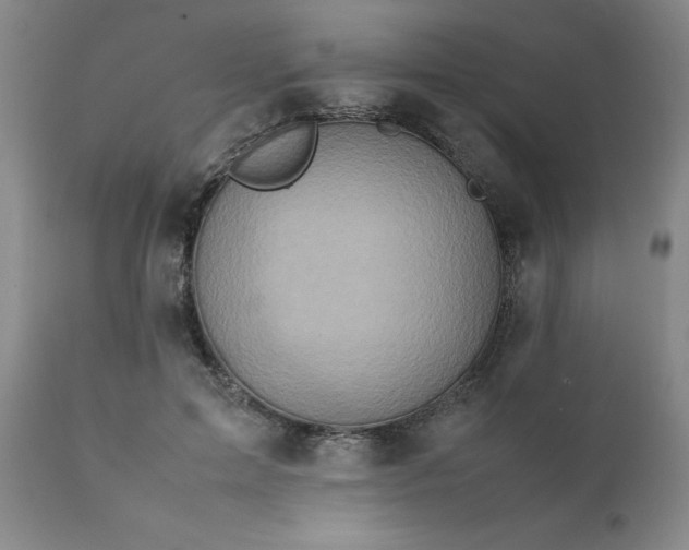 X0000111810599200907301234