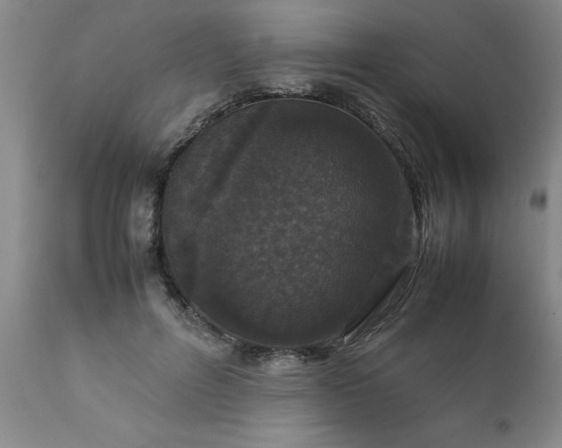 X0000111810600200907301234
