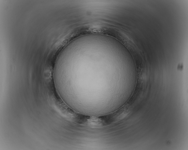 X0000111810603200907301234