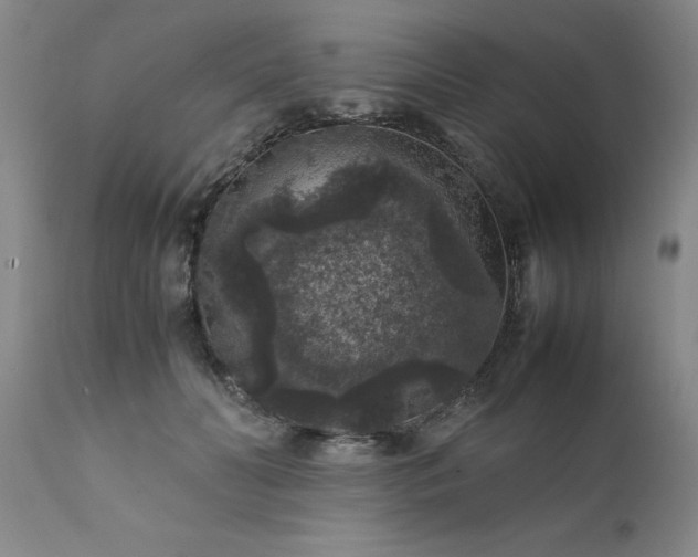 X0000111810606200907301234
