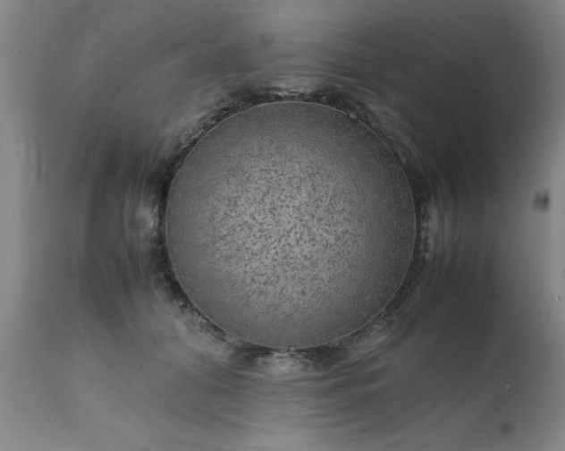 X0000111810608200907301234