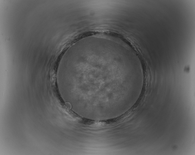 X0000111810609200907301234