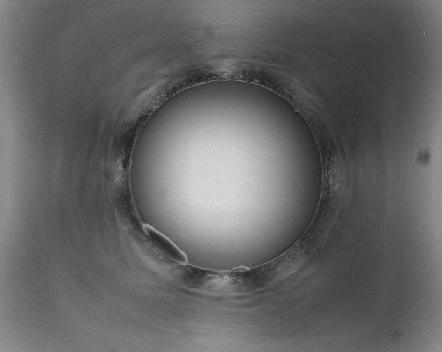 X0000111810611200907301234