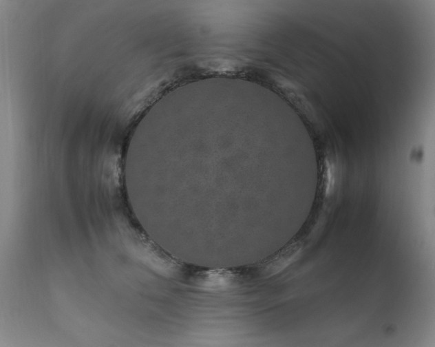 X0000111810612200907301234