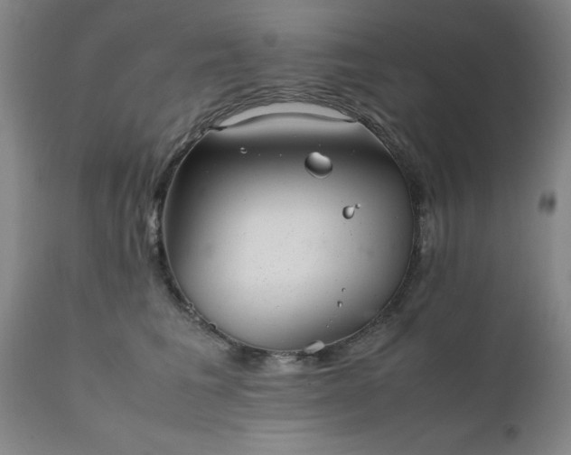 X0000111810613200907301234