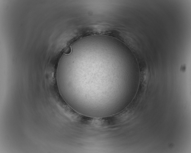 X0000111810615200907301234