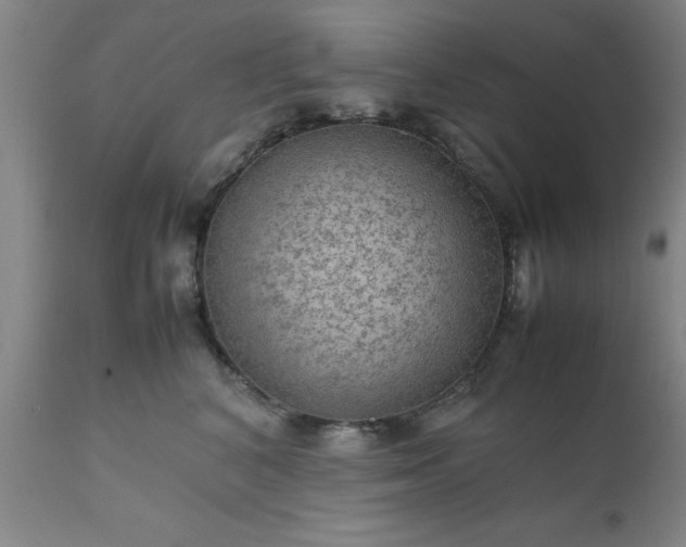 X0000111810616200907301234
