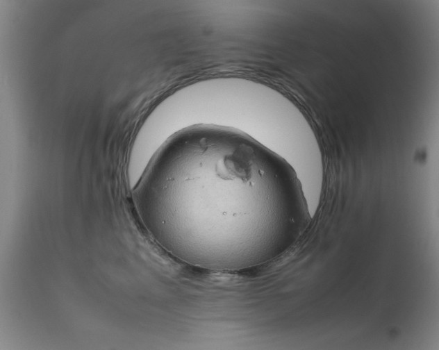 X0000111810617200907301234