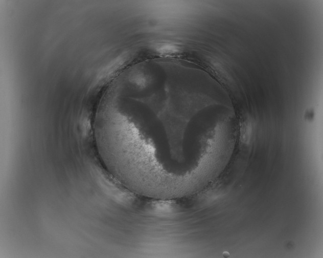 X0000111810618200907301234