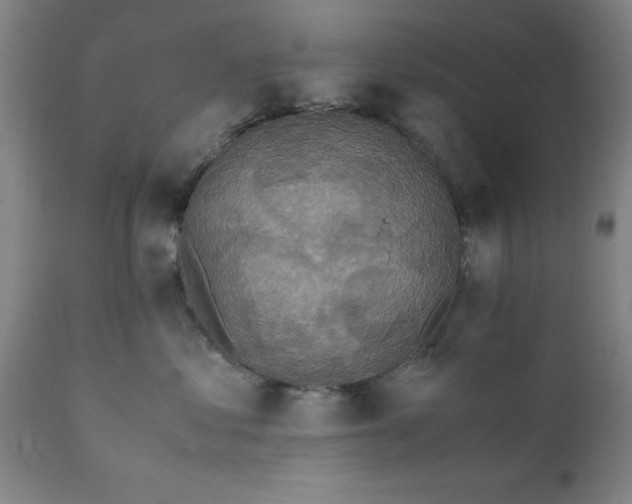 X0000111810621200907301234