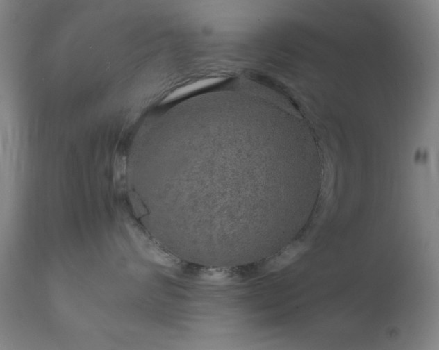 X0000111810624200907301234