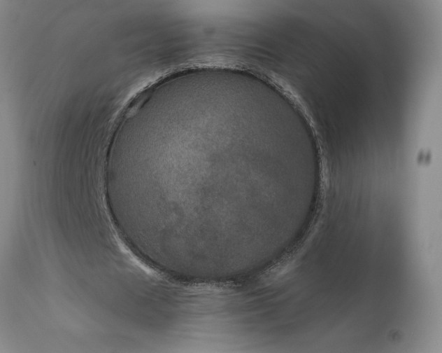 X0000111810625200907301233