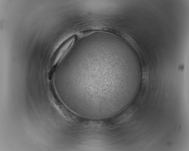 X0000111810626200907301233