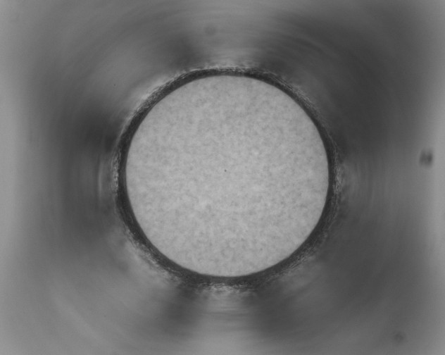 X0000111810632200907301234