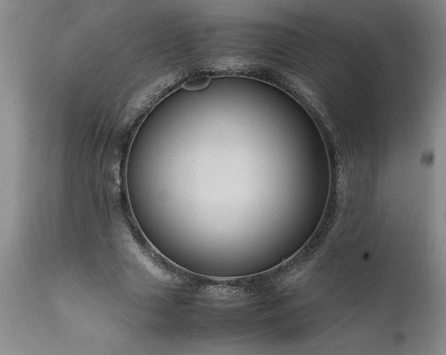 X0000111810633200907301234