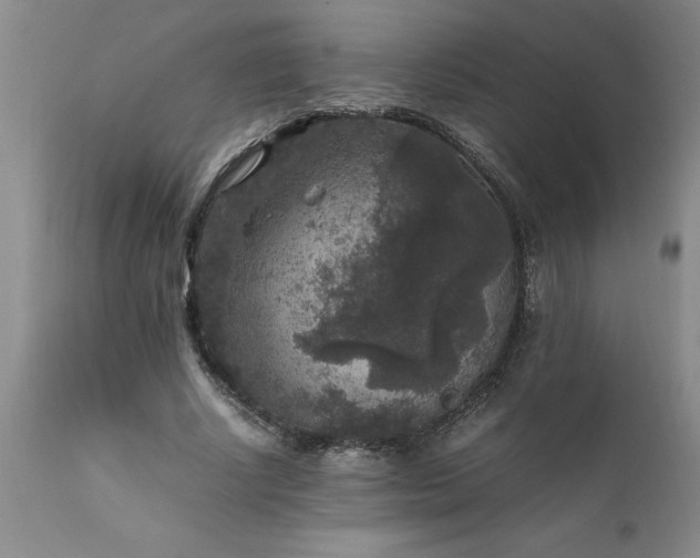 X0000111810634200907301234