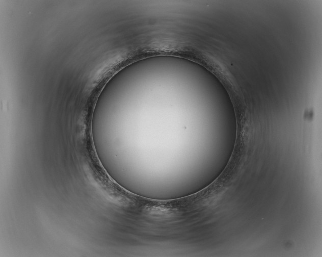 X0000111810635200907301234