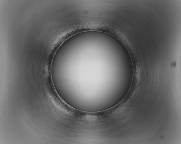 X0000111810636200907301234