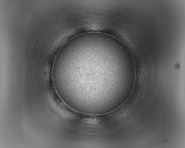X0000111810639200907301234