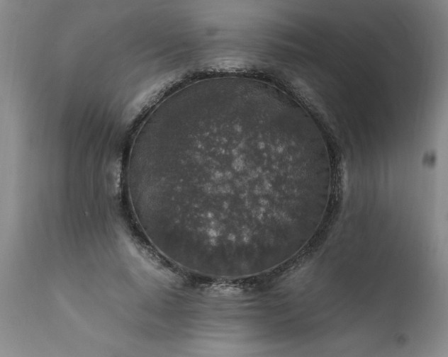 X0000111810640200907301234