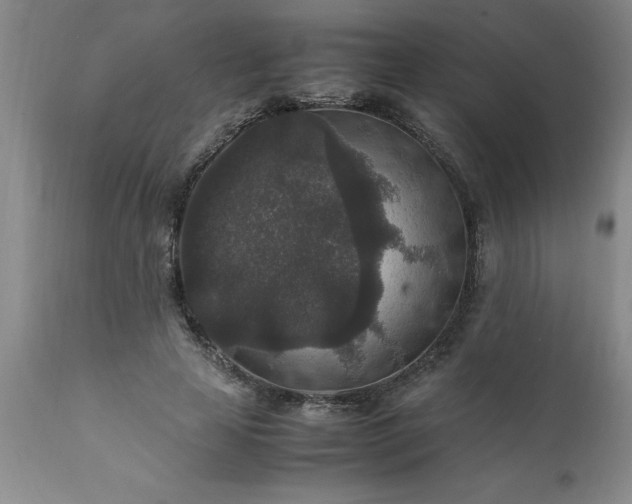 X0000111810641200907301234