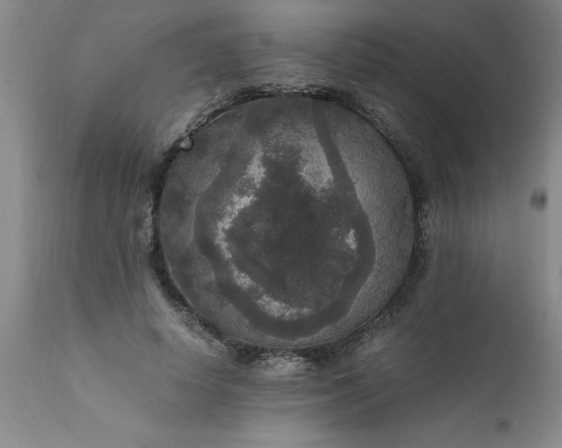 X0000111810642200907301234