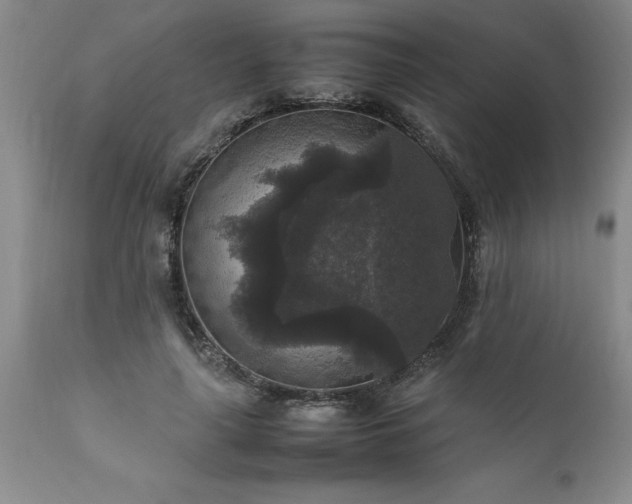 X0000111810643200907301234