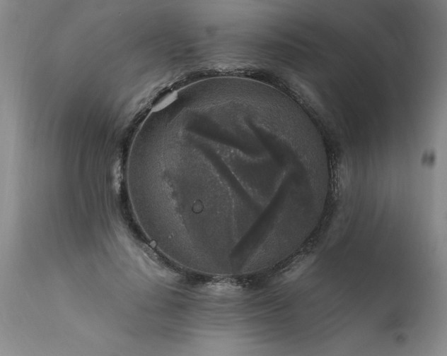 X0000111810644200907301234