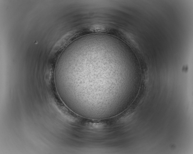 X0000111810645200907301234